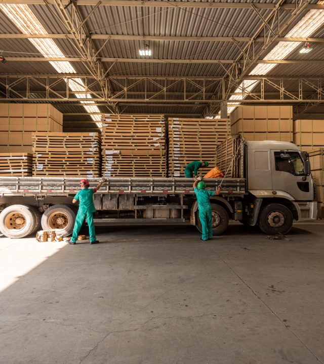 men loading truck on factory floor shed with mdf pine wood sheets